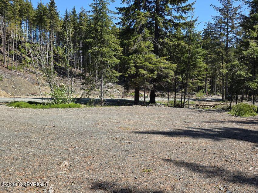 Lot 41 Martin Avenue Property Photo 4