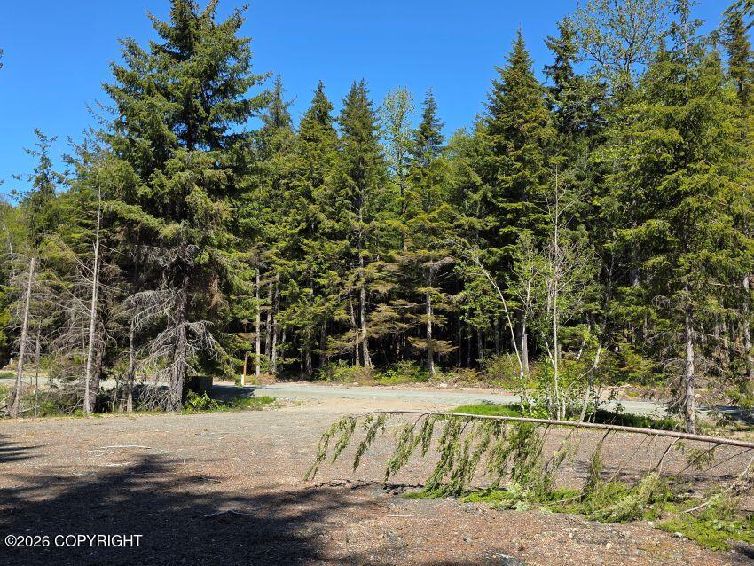 Lot 41 Martin Avenue Property Photo 5