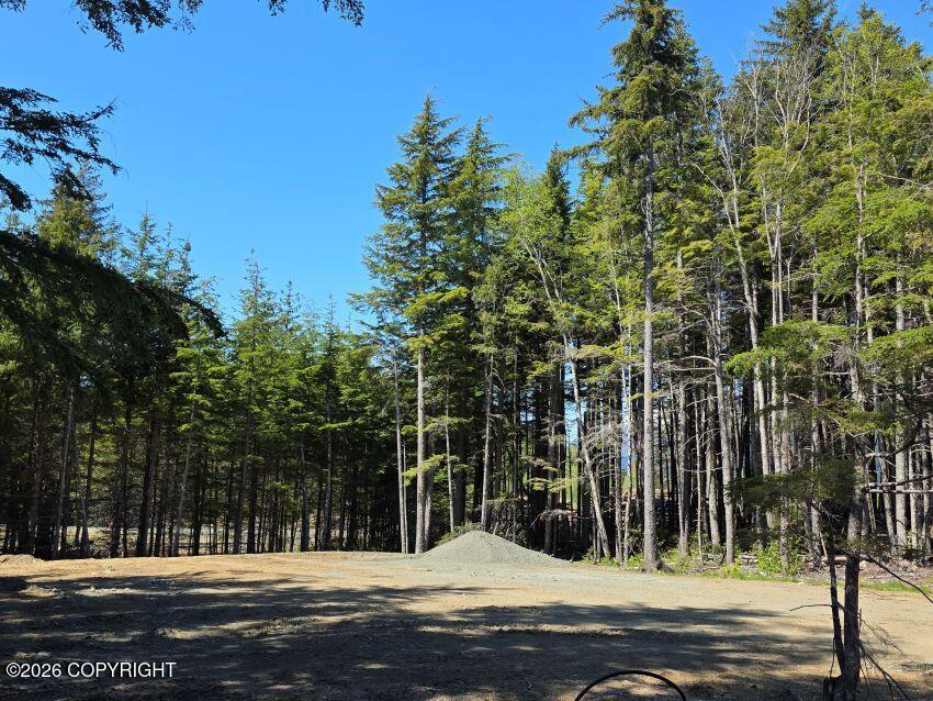 Lot 43 Martin Avenue Property Photo 1