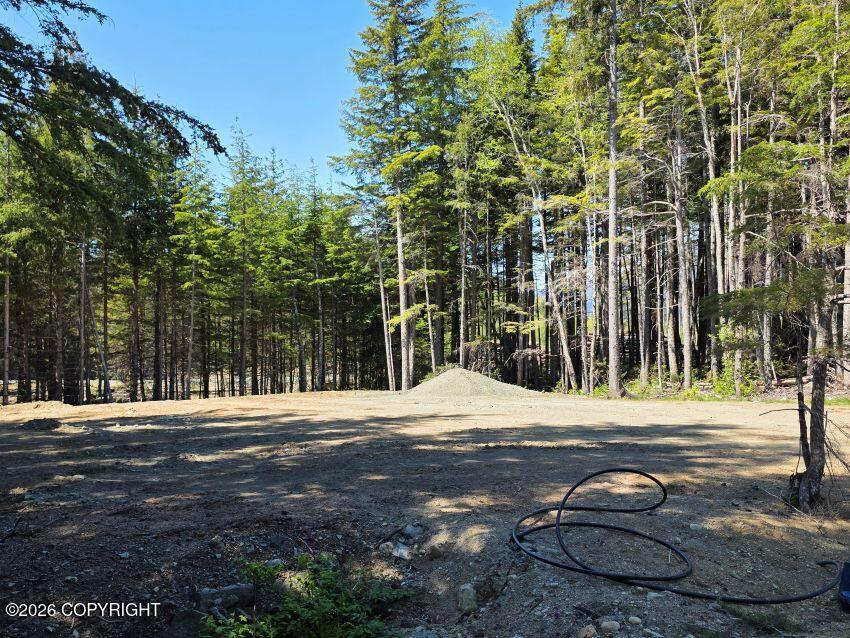 Lot 43 Martin Avenue Property Photo 2