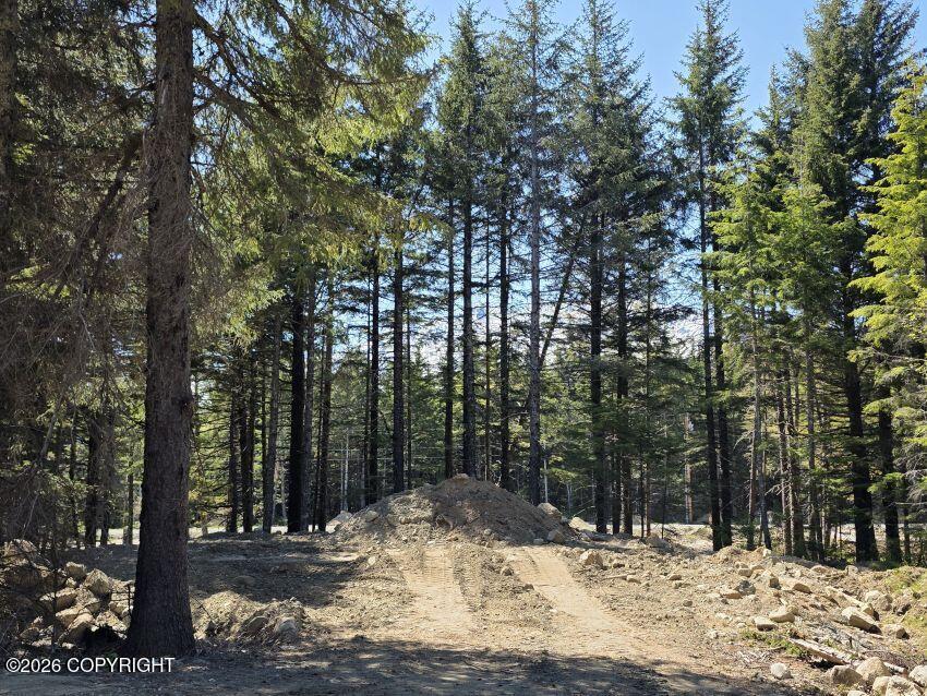 Lot 44 Martin Avenue Property Photo 2