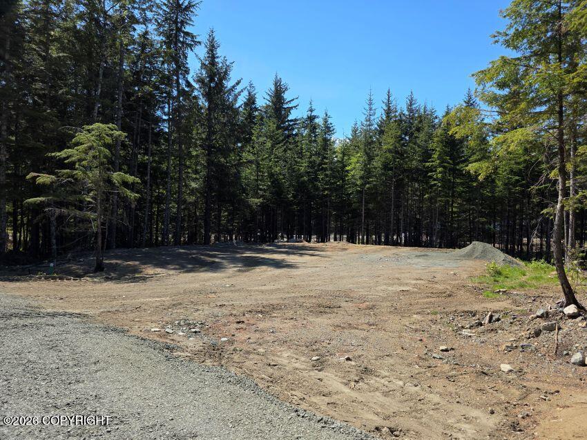 Lot 44 Martin Avenue Property Photo 3