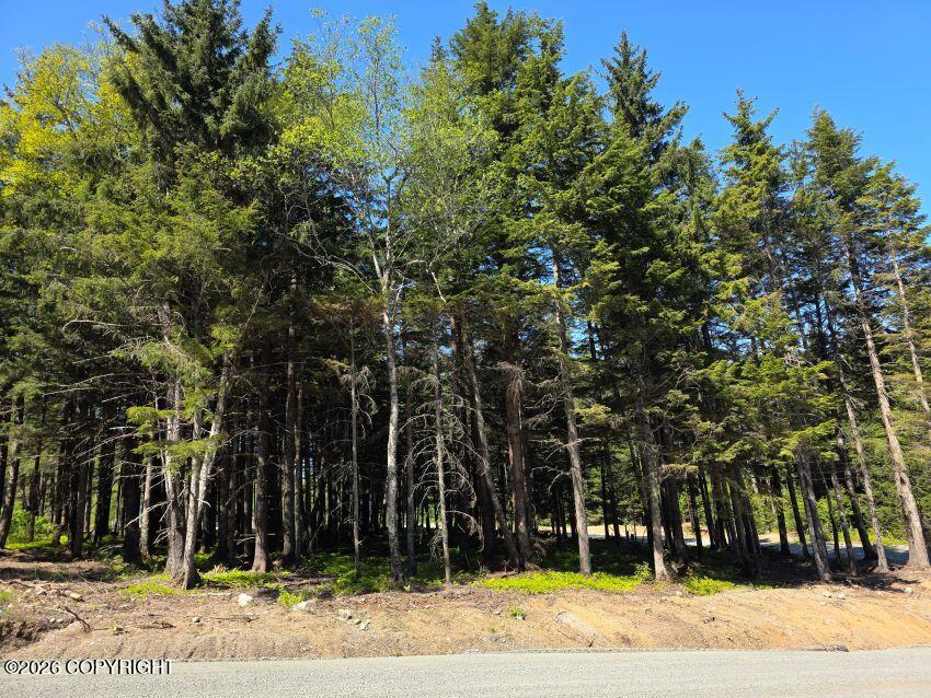 Lot 47 Martin Avenue Property Photo 4