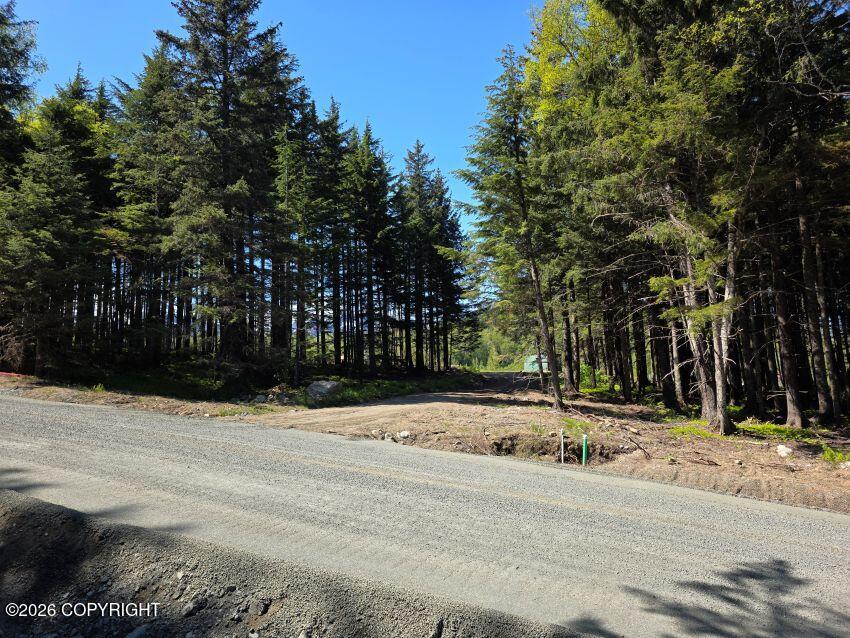 Lot 48 Martin Avenue Property Photo 1