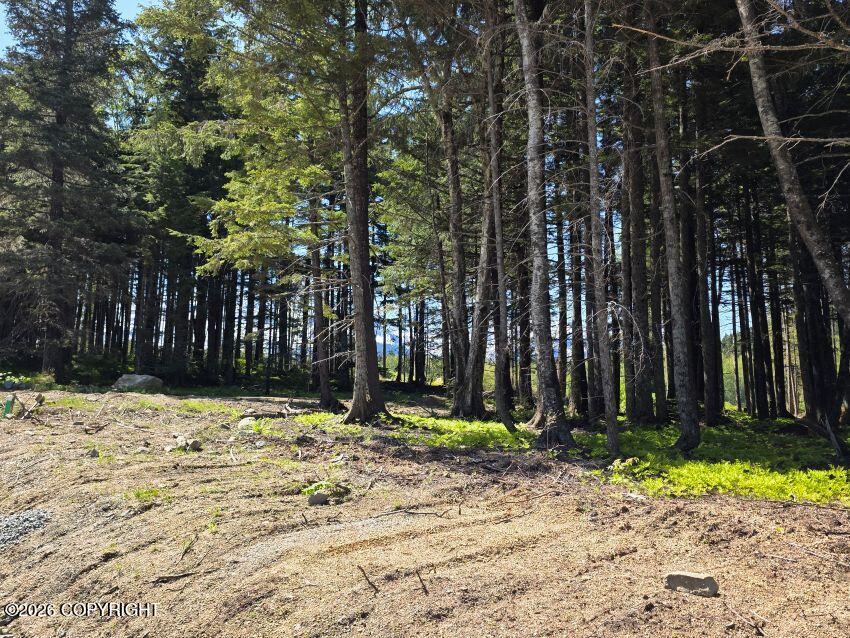Lot 48 Martin Avenue Property Photo 2