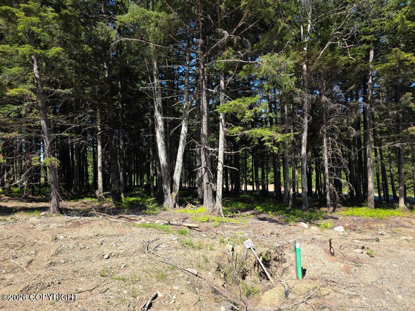 Lot 48 Martin Avenue Property Photo 3