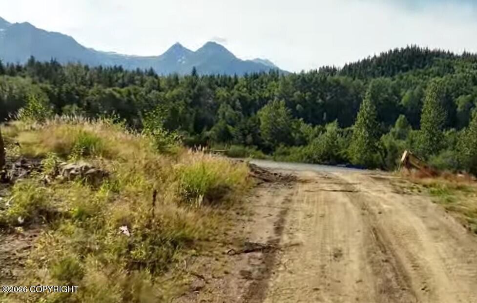 Lot 48 Martin Avenue Property Photo 4