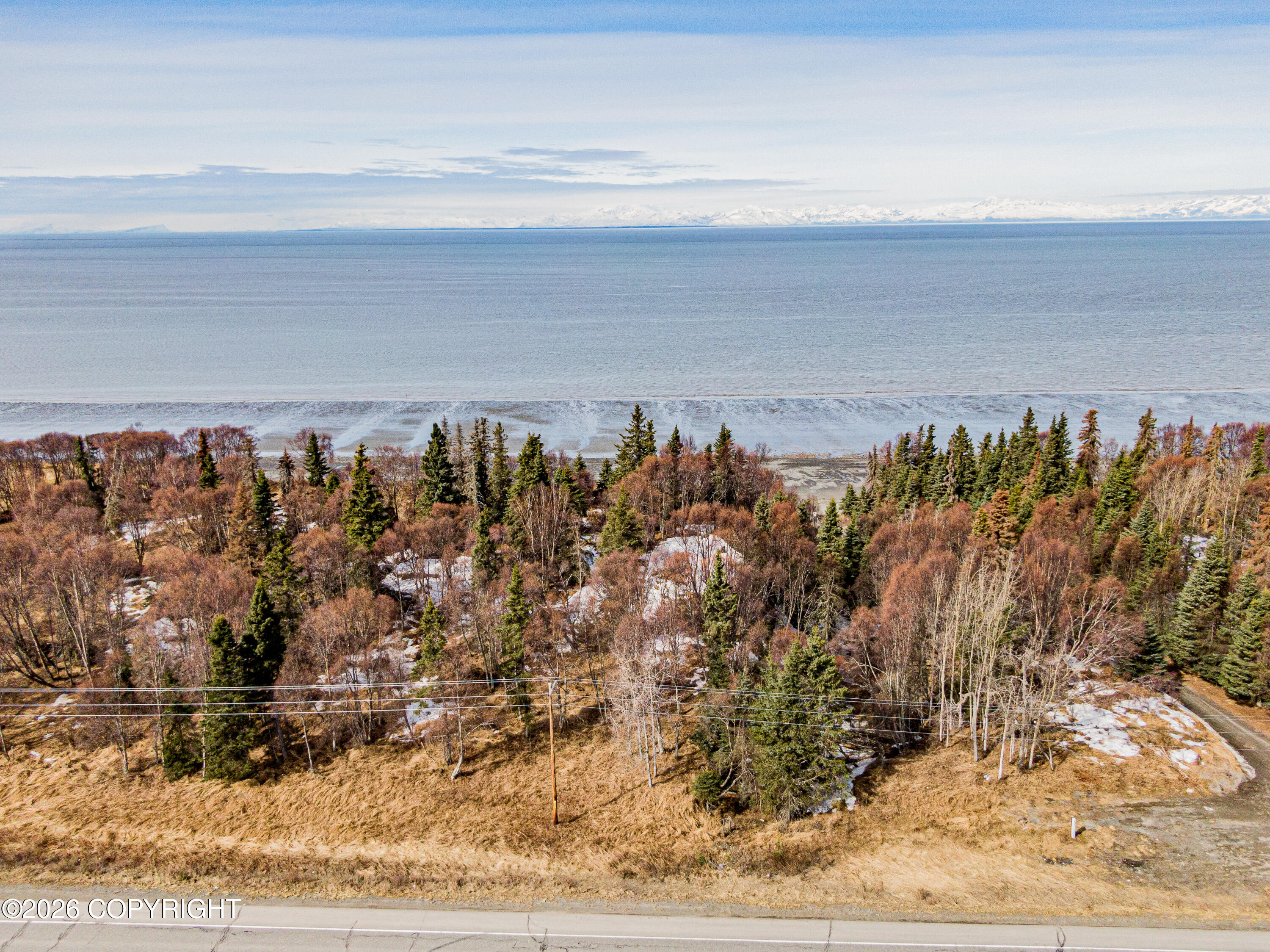 35807 Kalifornsky Beach Road Property Photo 4