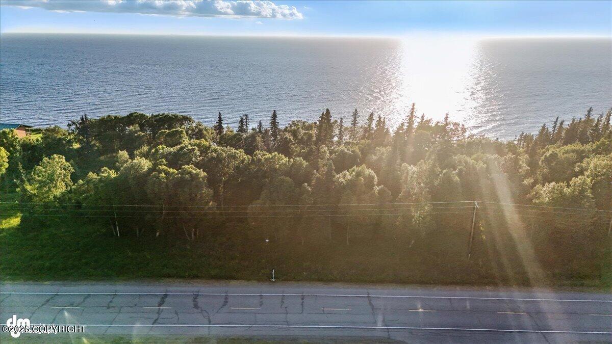 35807 Kalifornsky Beach Road Property Photo 25