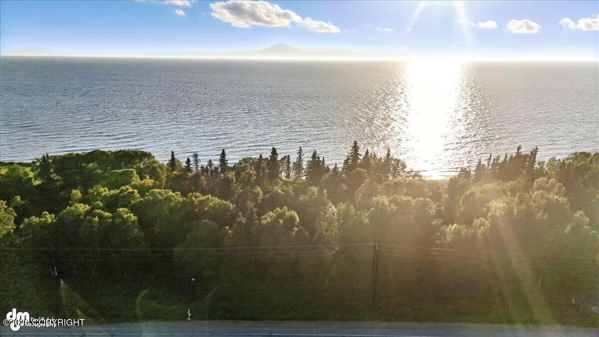 35807 Kalifornsky Beach Road Property Photo 42