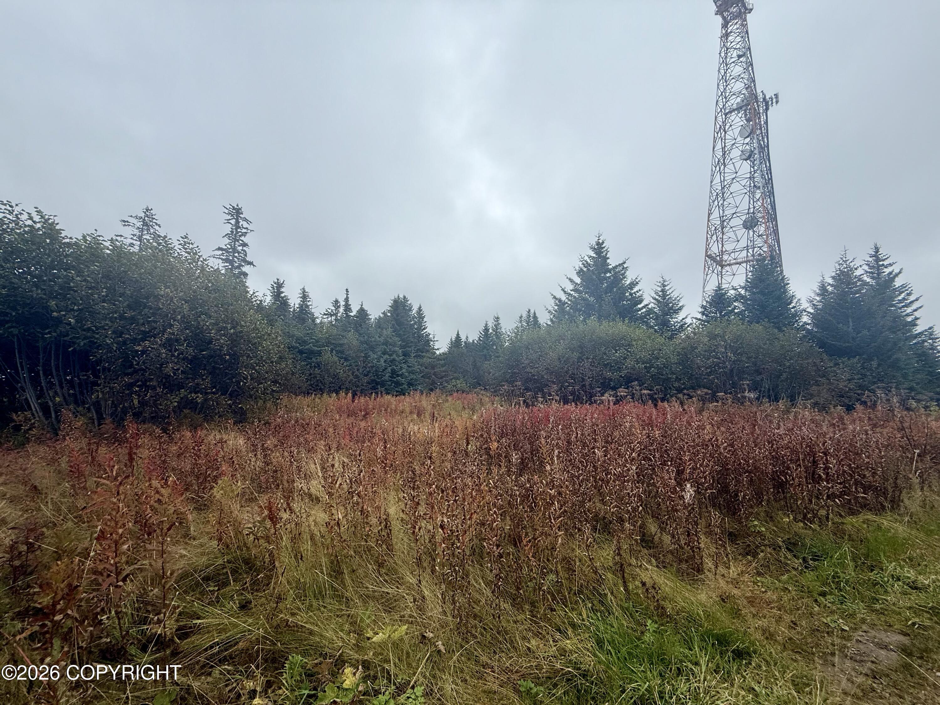 26940 Sterling Highway Property Photo 7
