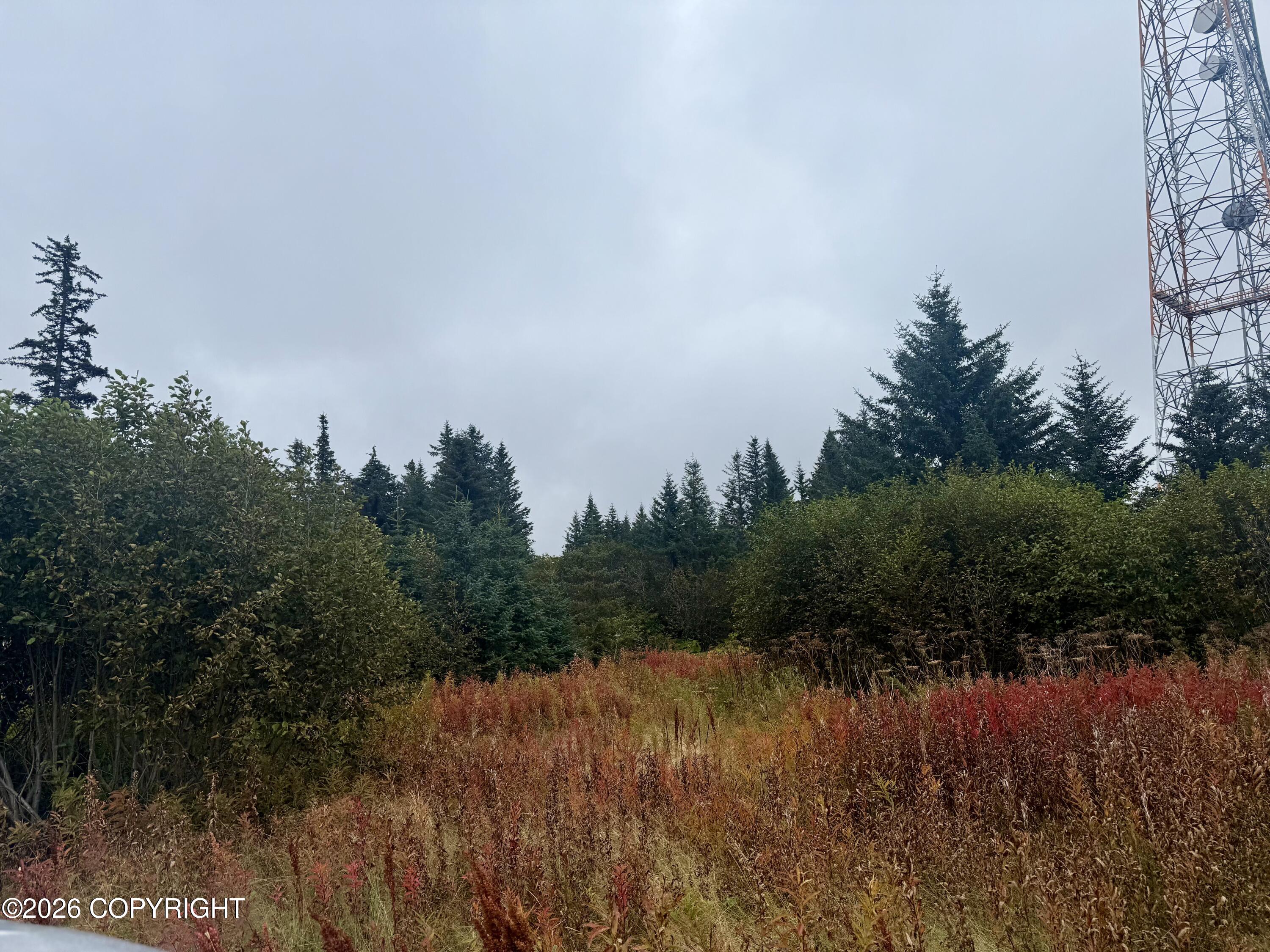 26940 Sterling Highway Property Photo 8