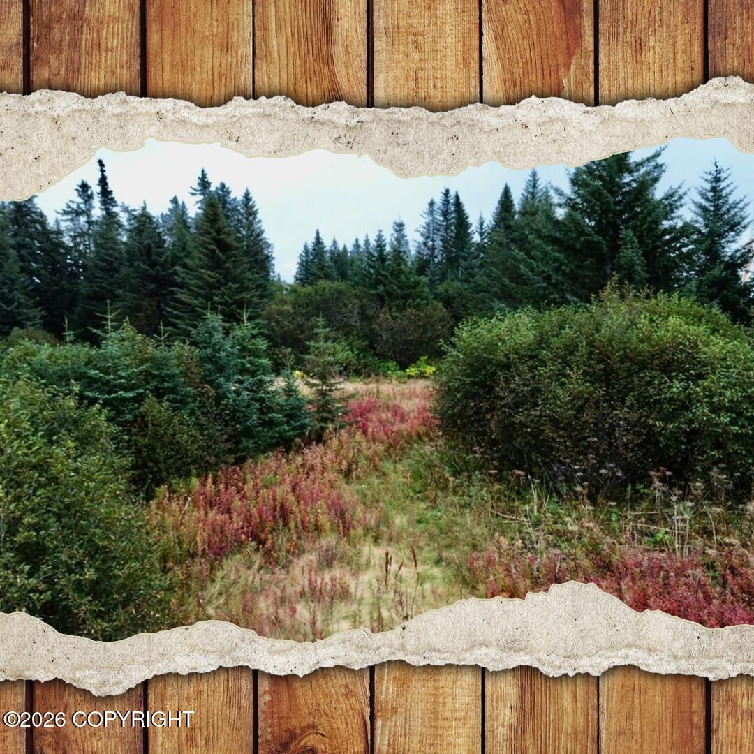 26940 Sterling Highway Property Photo 21