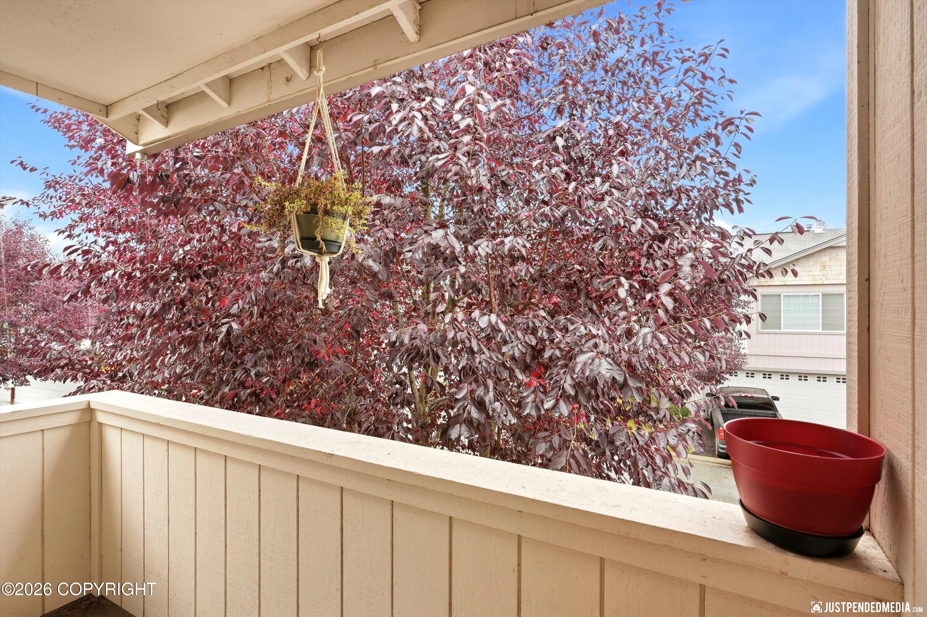 5565 Sapphire Loop Property Photo 20