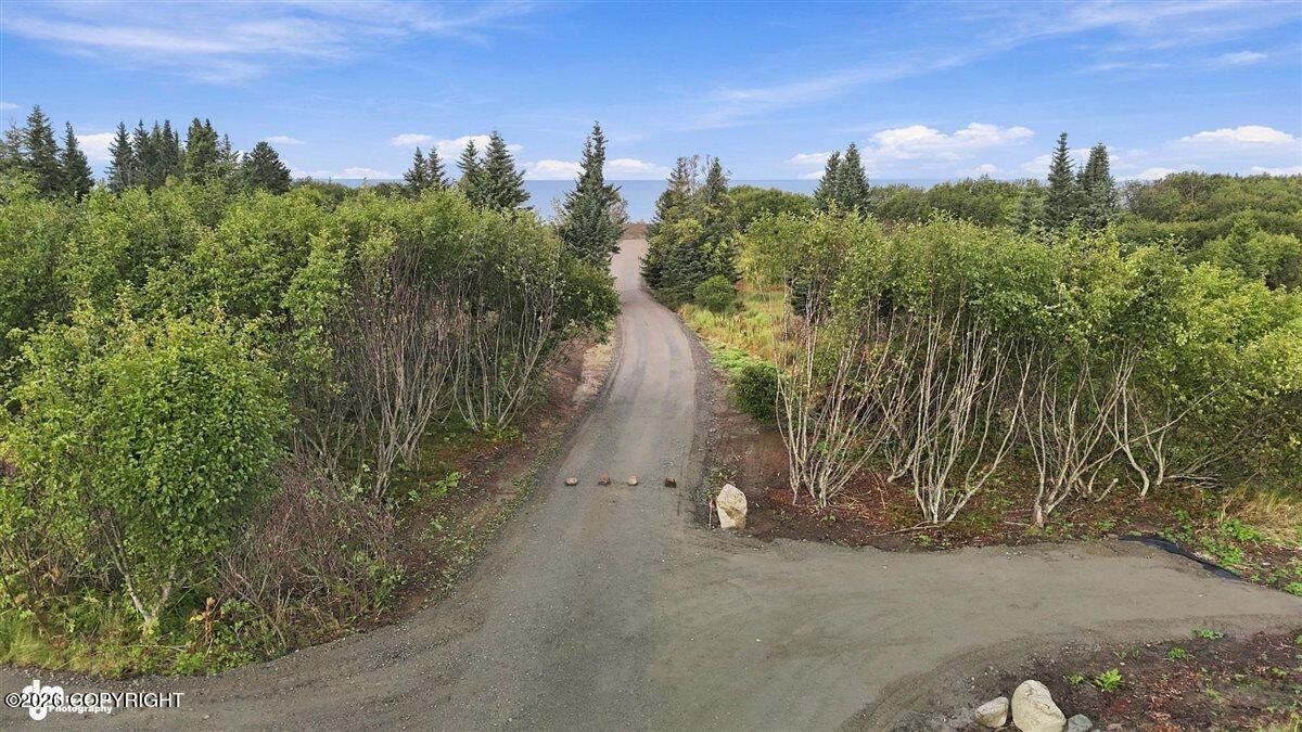 L4 Sterling Highway Property Photo 4