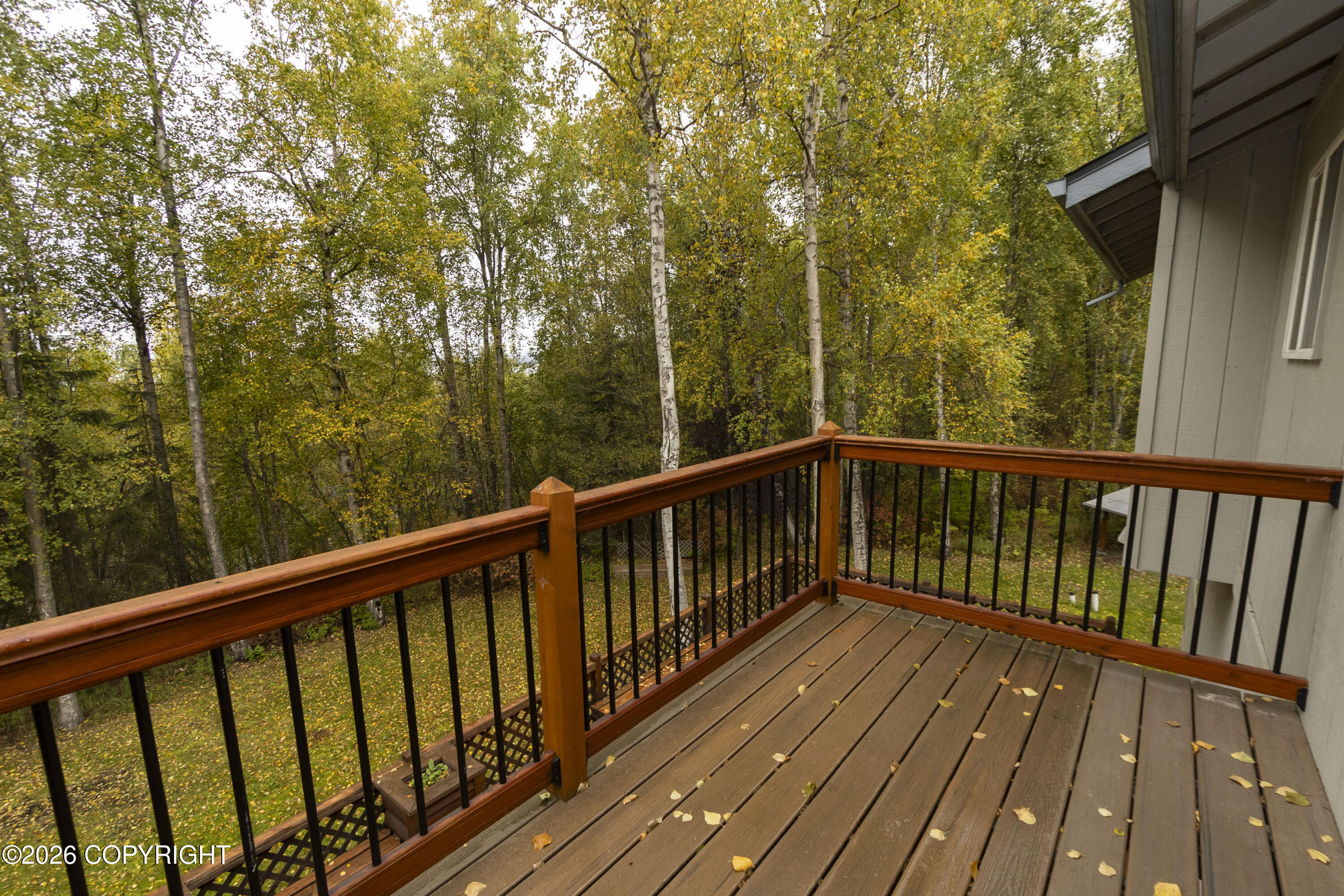 22724 Knik Vista Street Property Photo 10