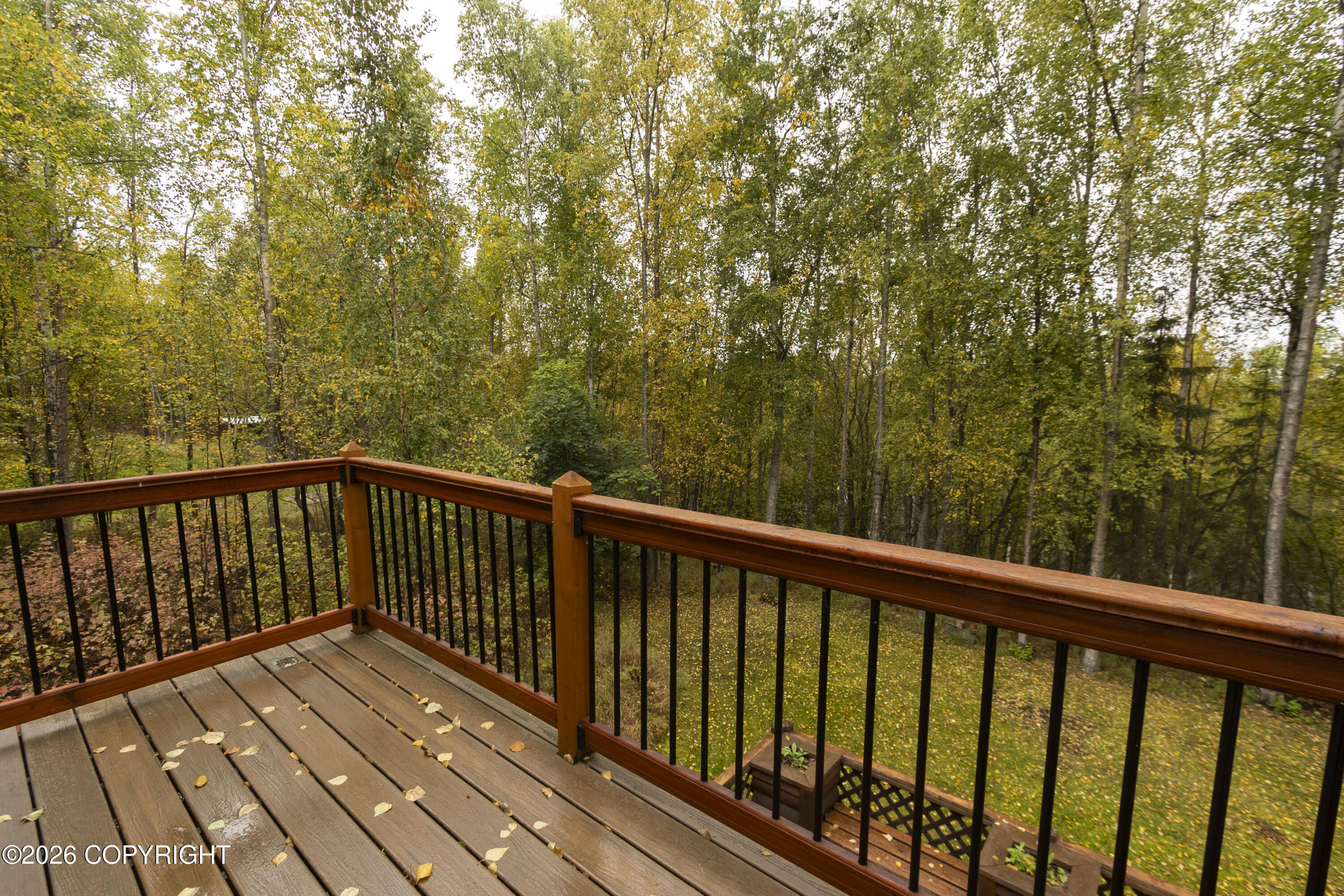 22724 Knik Vista Street Property Photo 11