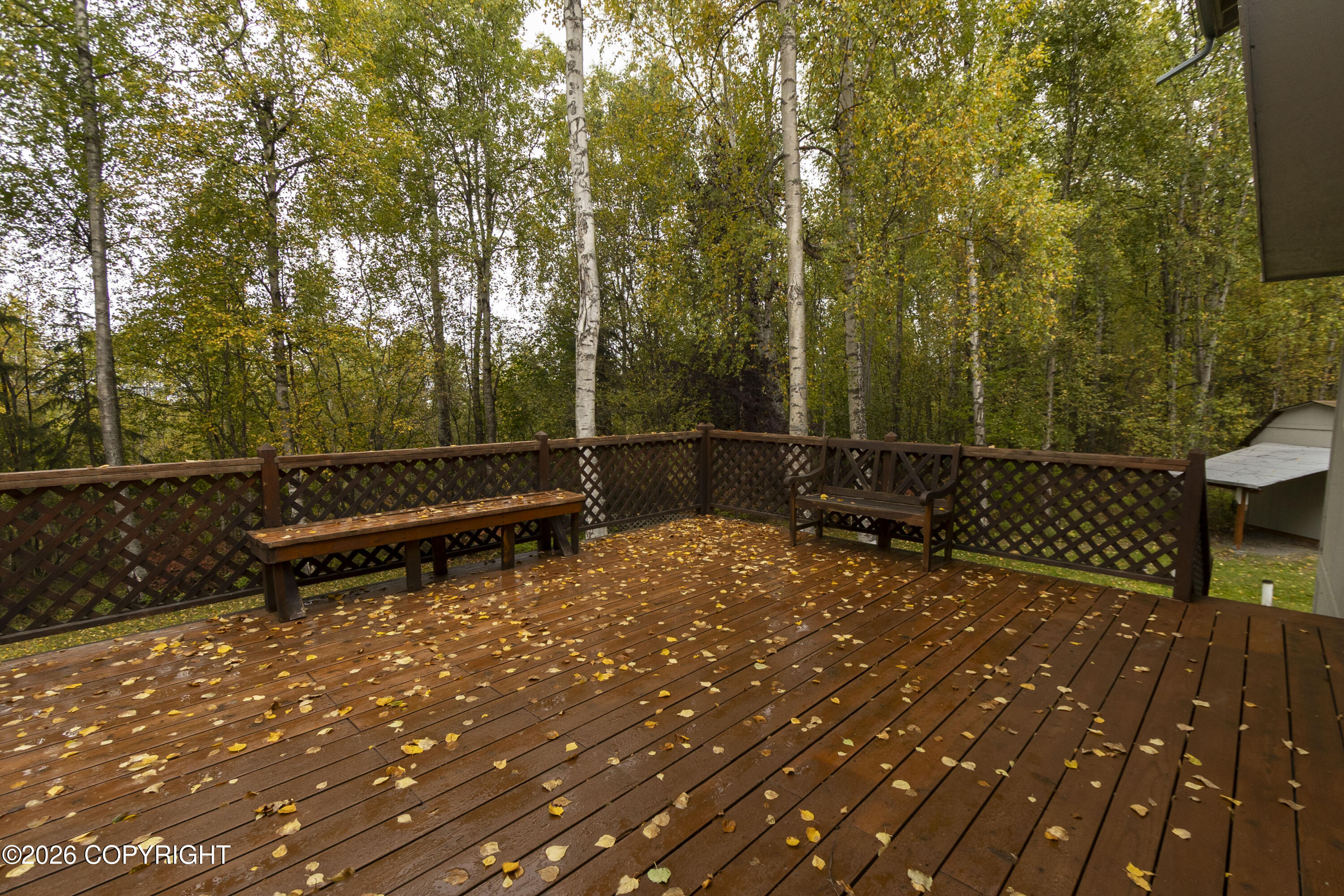 22724 Knik Vista Street Property Photo 35