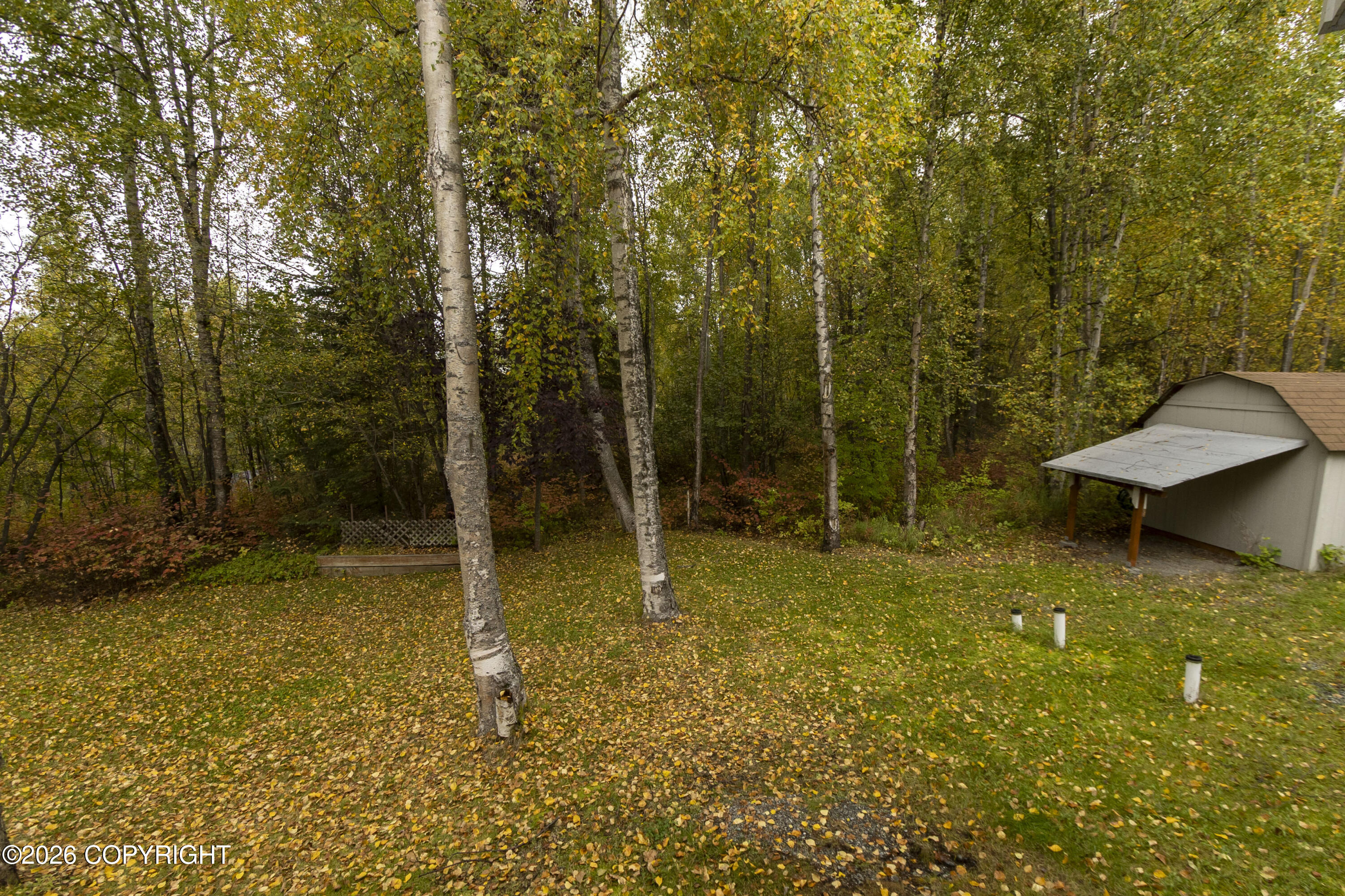 22724 Knik Vista Street Property Photo 39