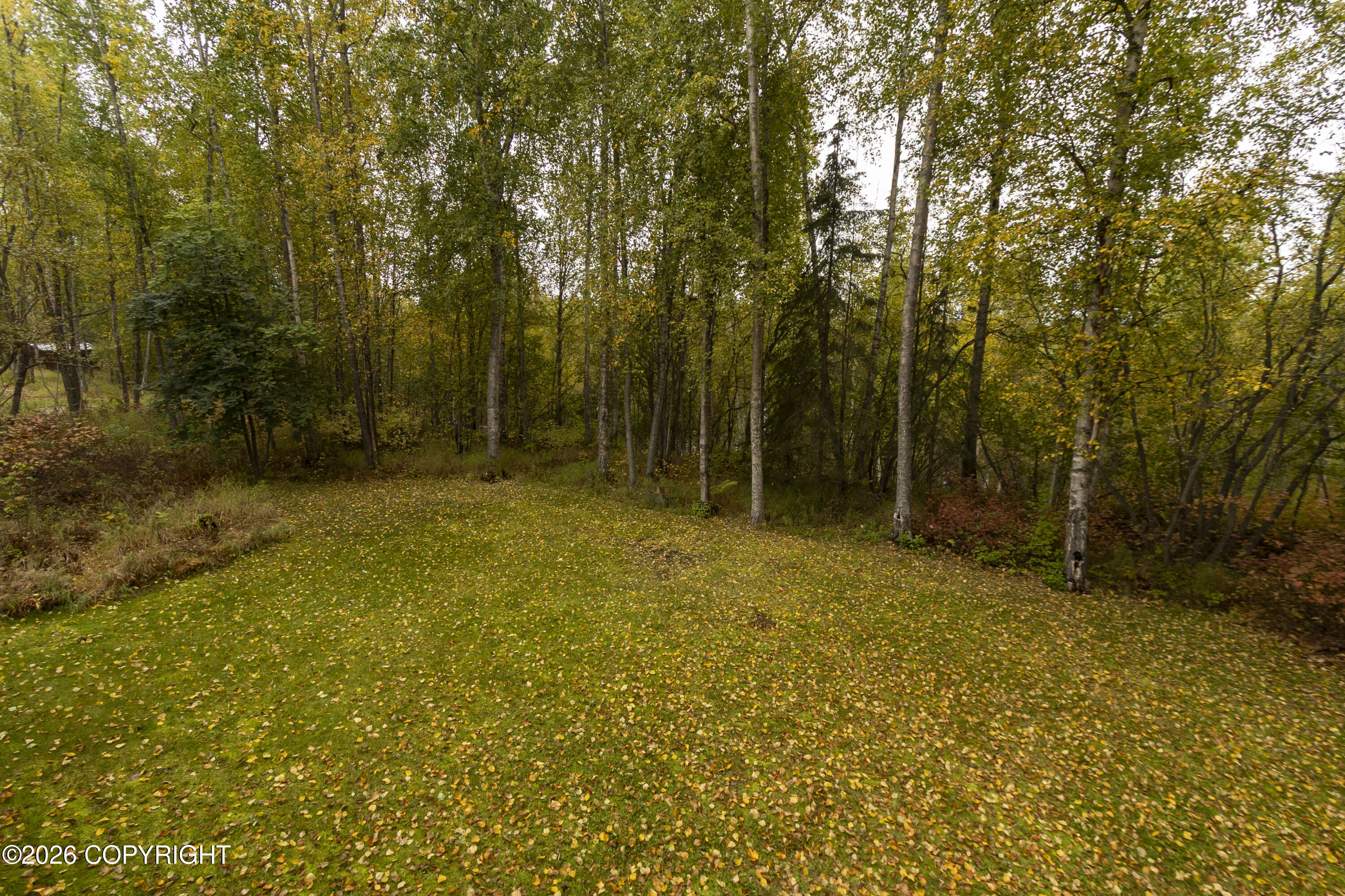 22724 Knik Vista Street Property Photo 40