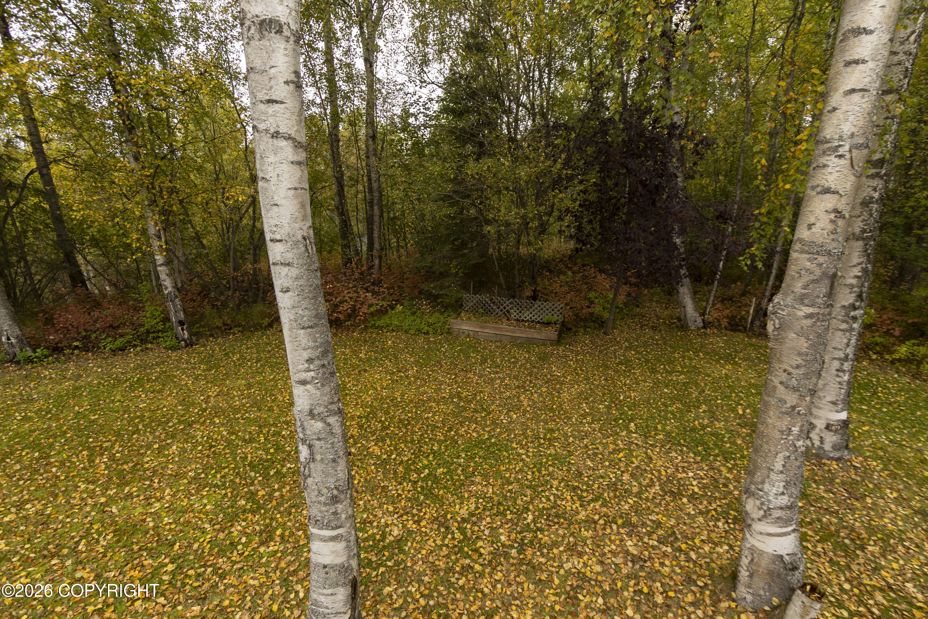 22724 Knik Vista Street Property Photo 41