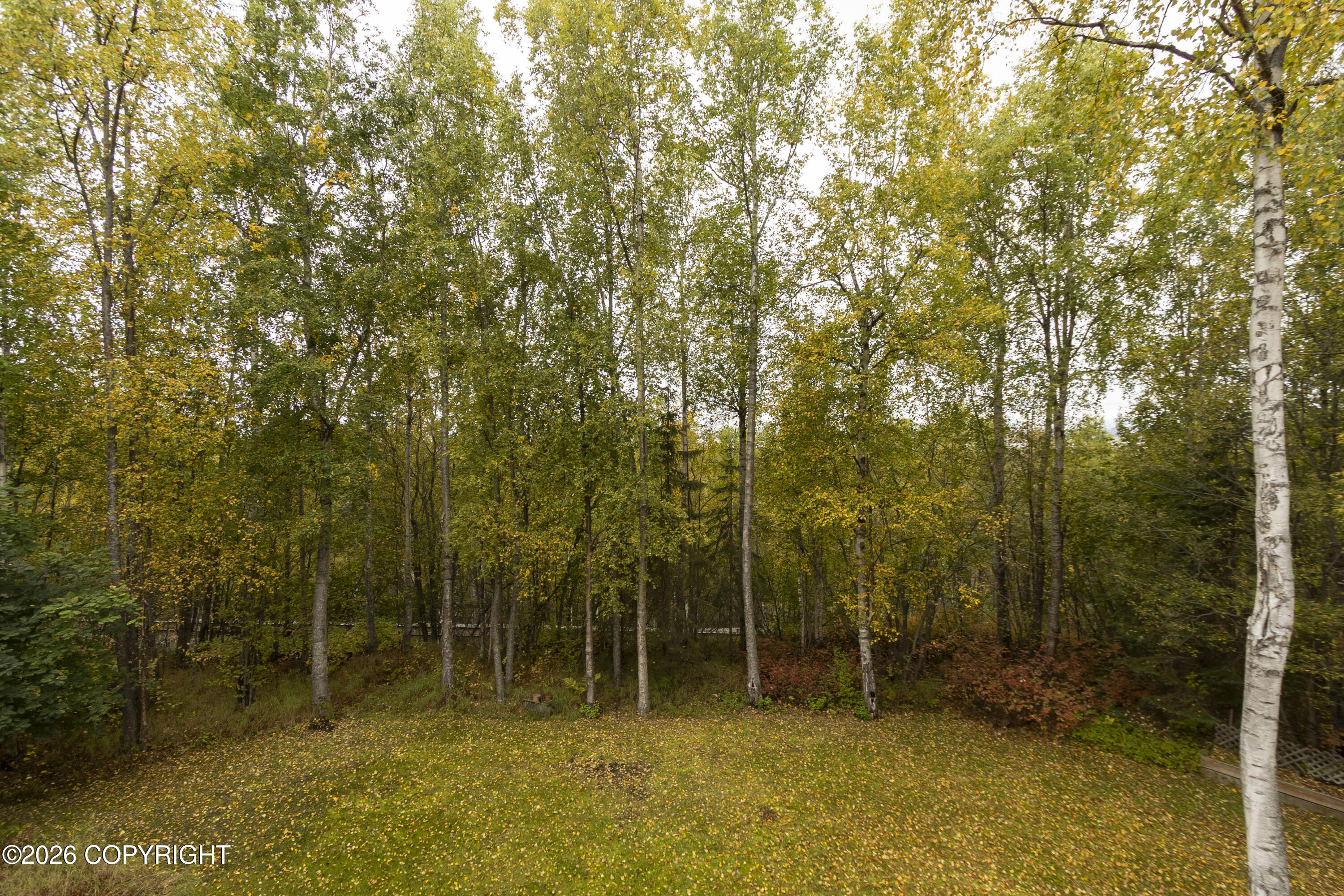 22724 Knik Vista Street Property Photo 44