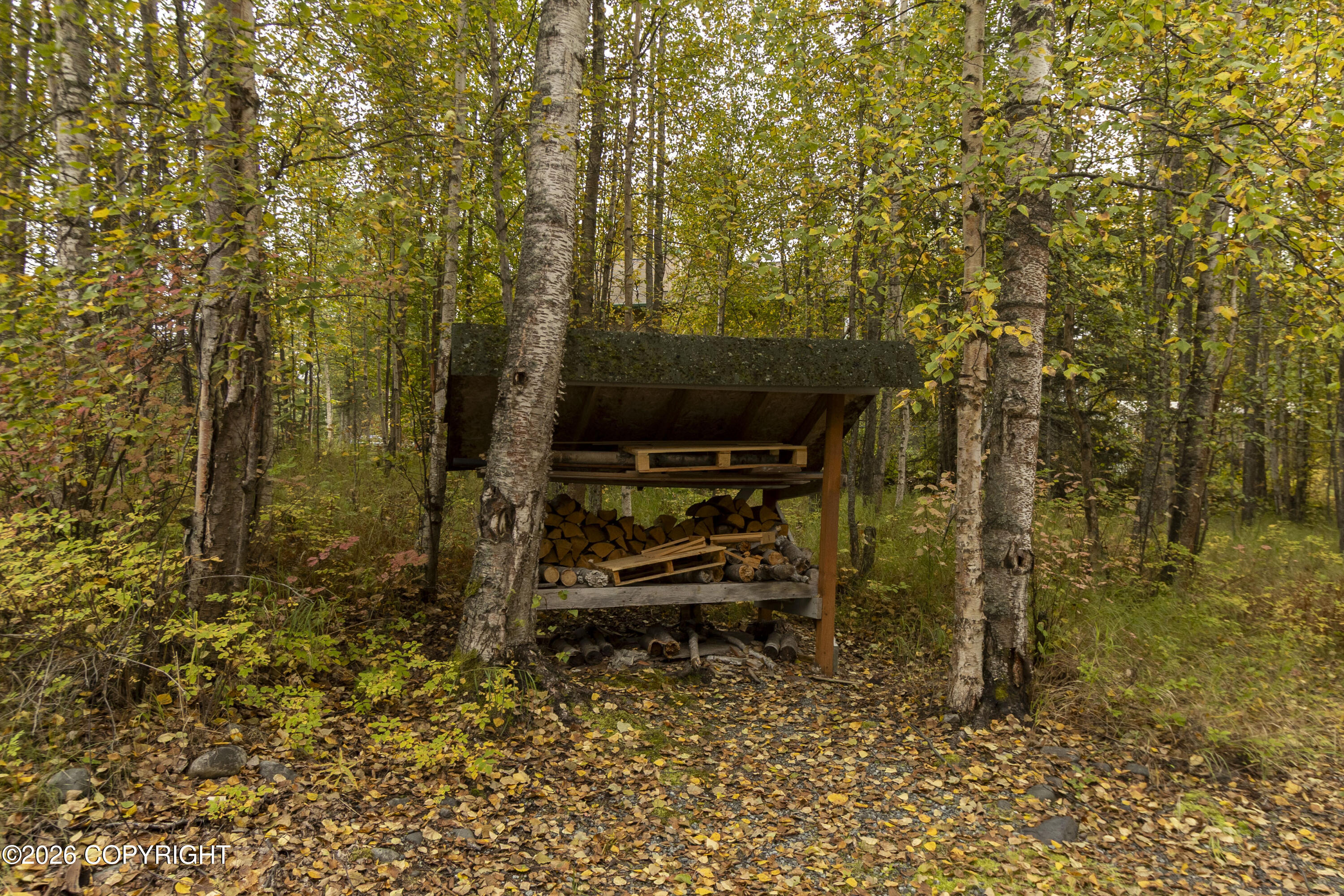 22724 Knik Vista Street Property Photo 45