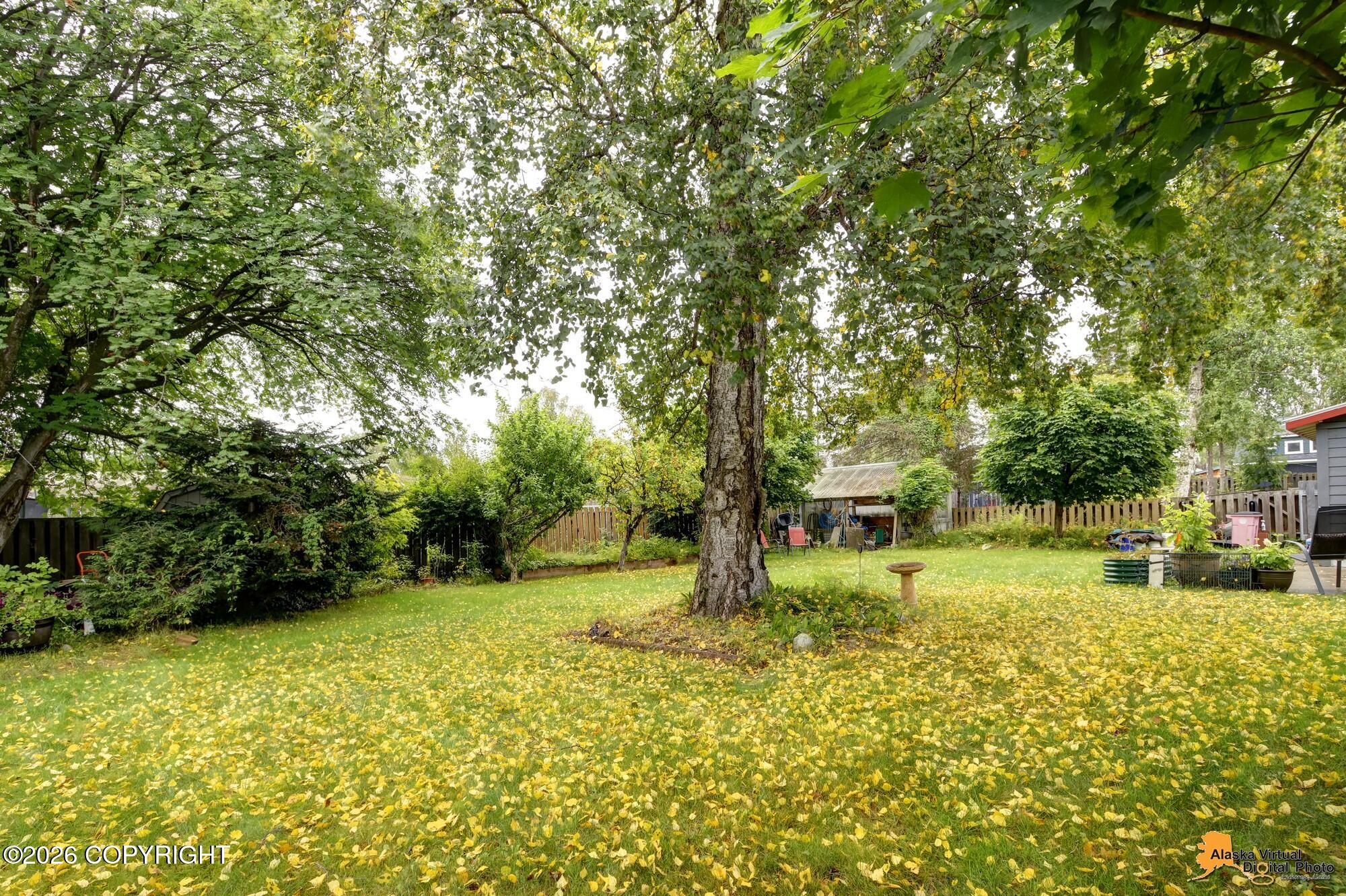2207 Turnagain Parkway Property Photo 2