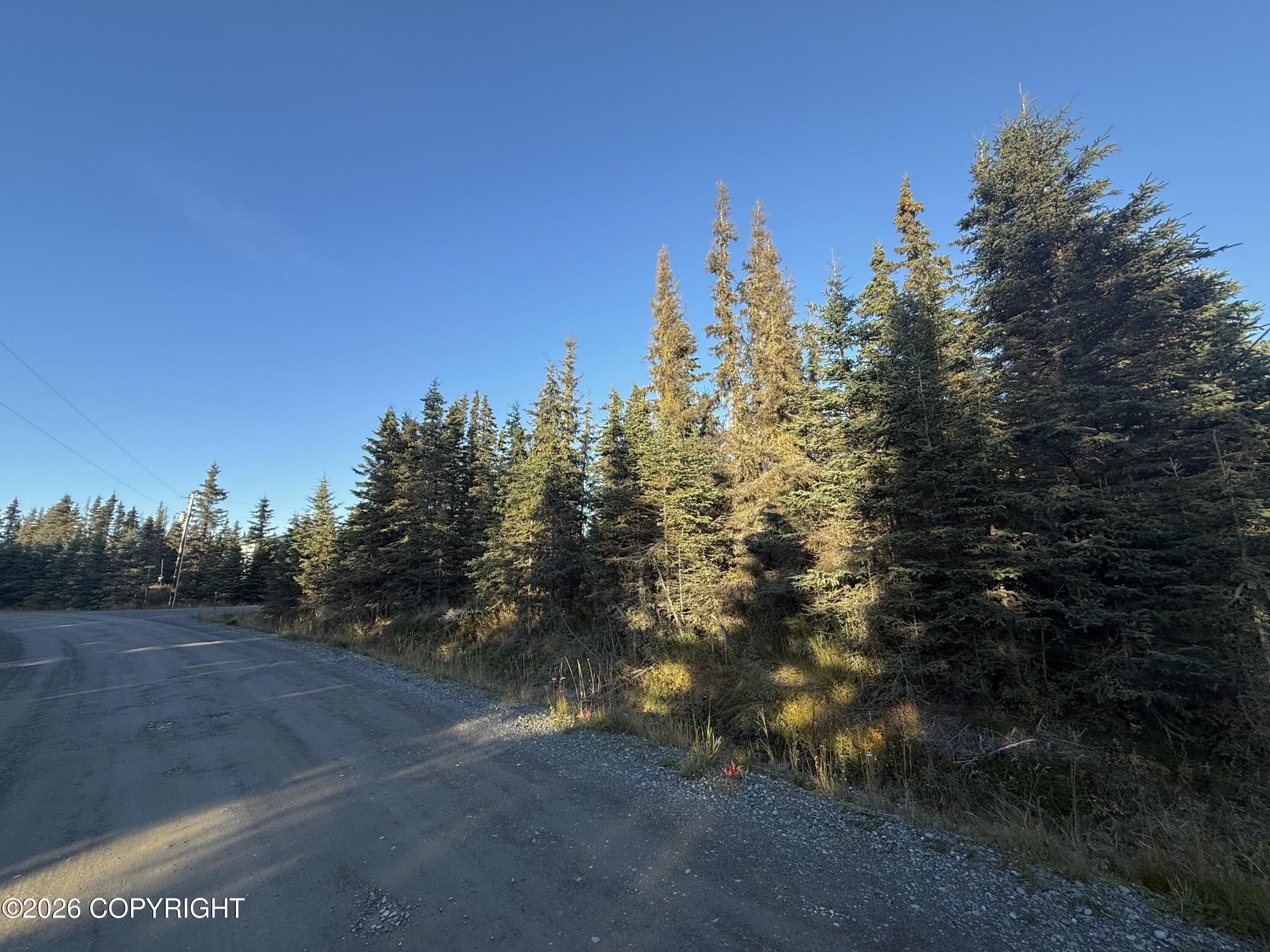 36244 Bore Tide Drive Property Photo 1