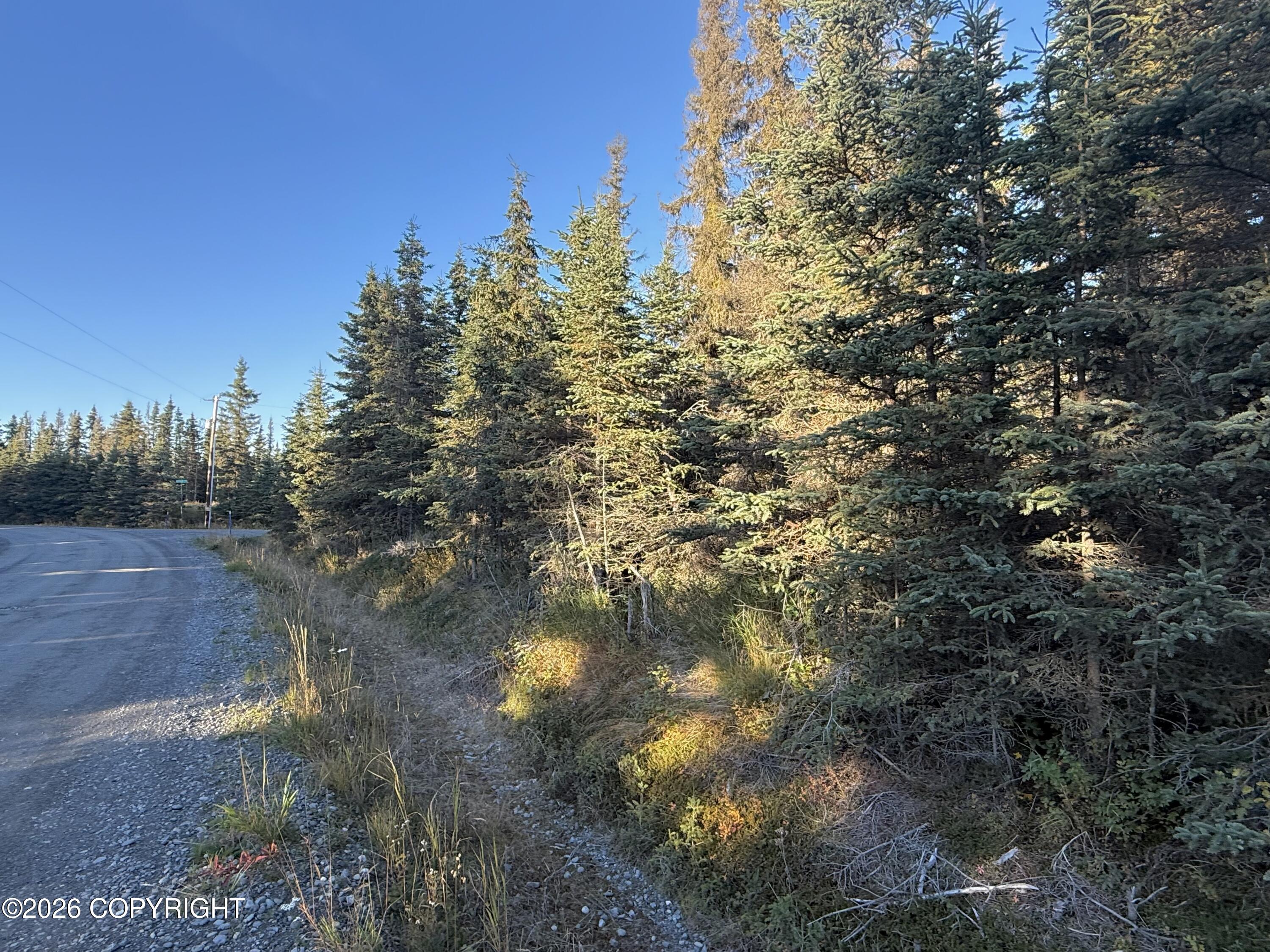 36244 Bore Tide Drive Property Photo 2