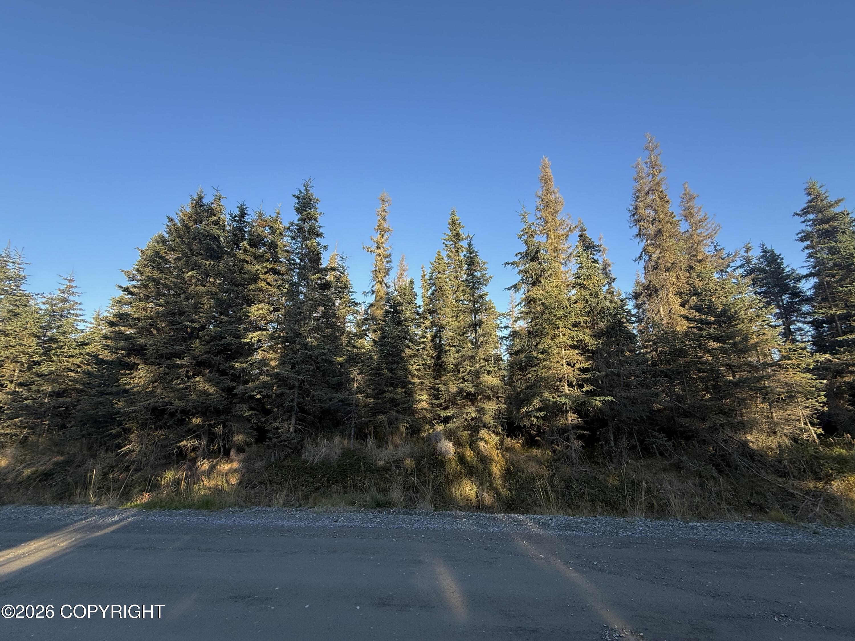 36244 Bore Tide Drive Property Photo 3