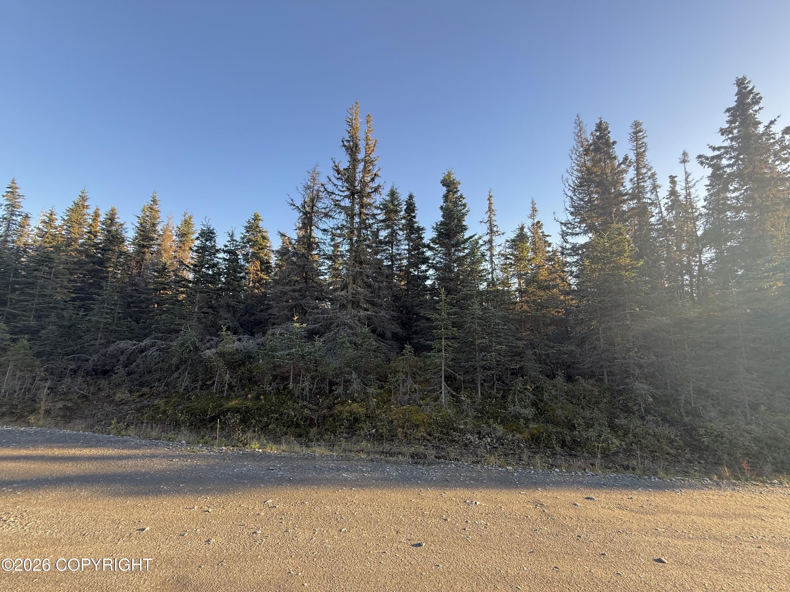 36244 Bore Tide Drive Property Photo 5