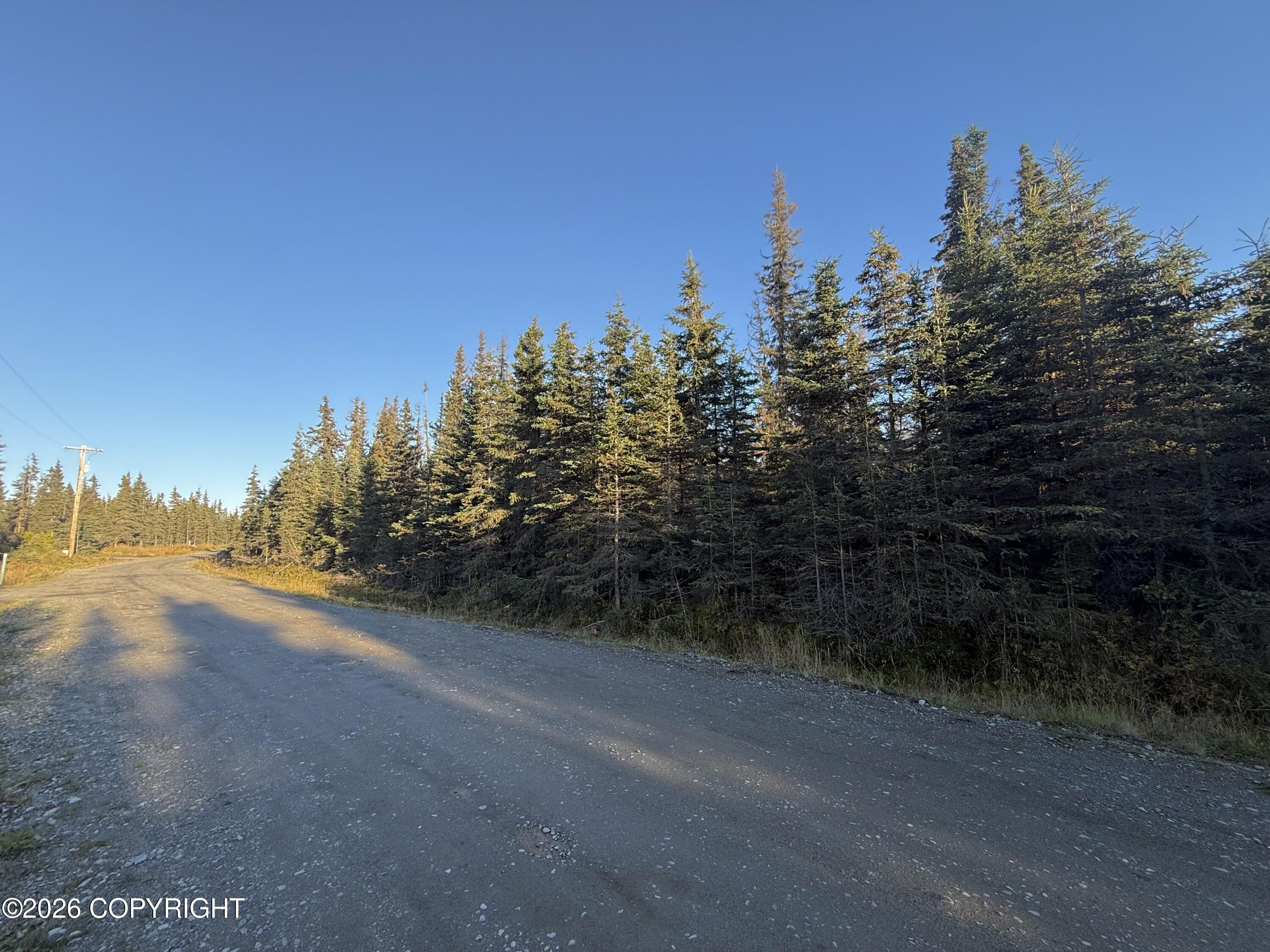 36244 Bore Tide Drive Property Photo 6