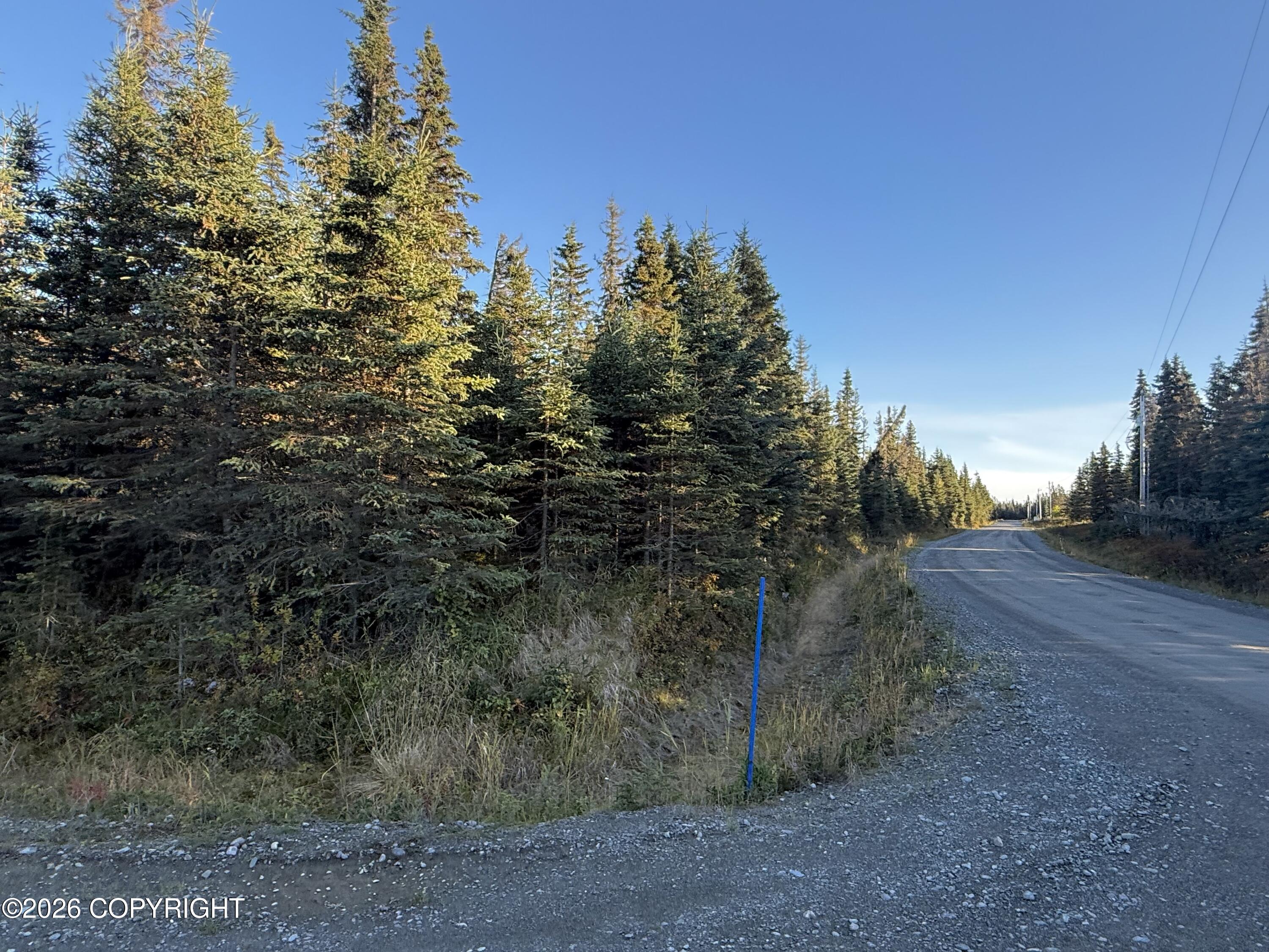 36244 Bore Tide Drive Property Photo 7