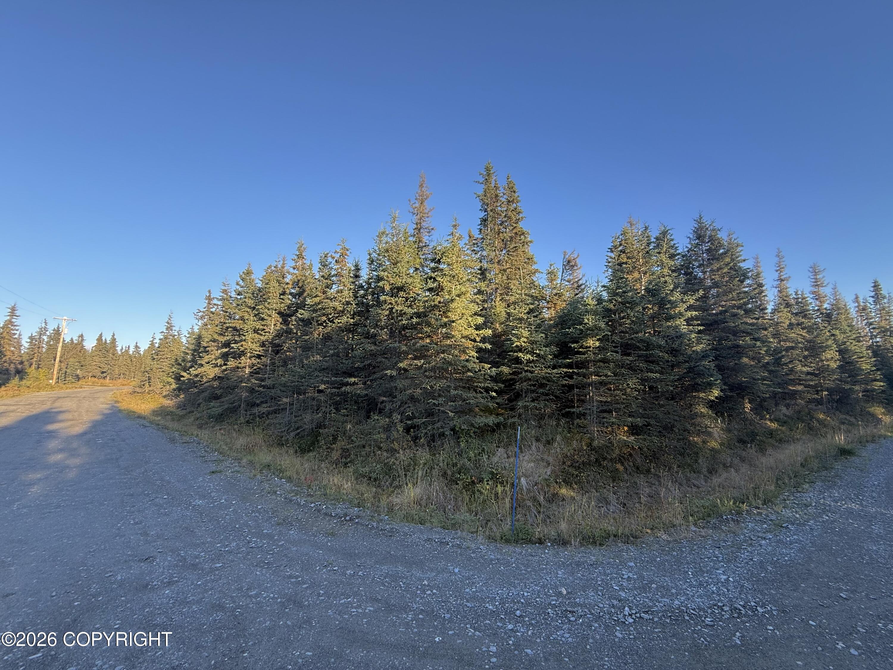 36244 Bore Tide Drive Property Photo 8