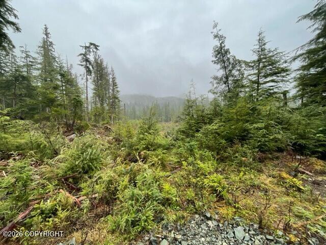 L5 Steep Road Property Photo 3