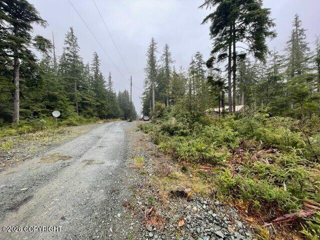 L5 Steep Road Property Photo 5