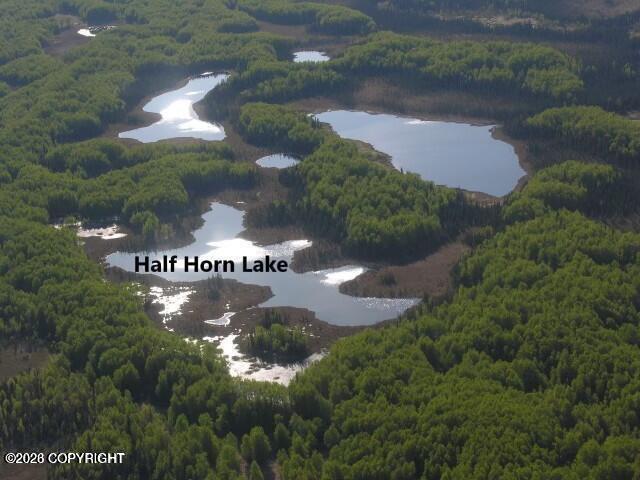 Tract C Josh Lake Property Photo 5