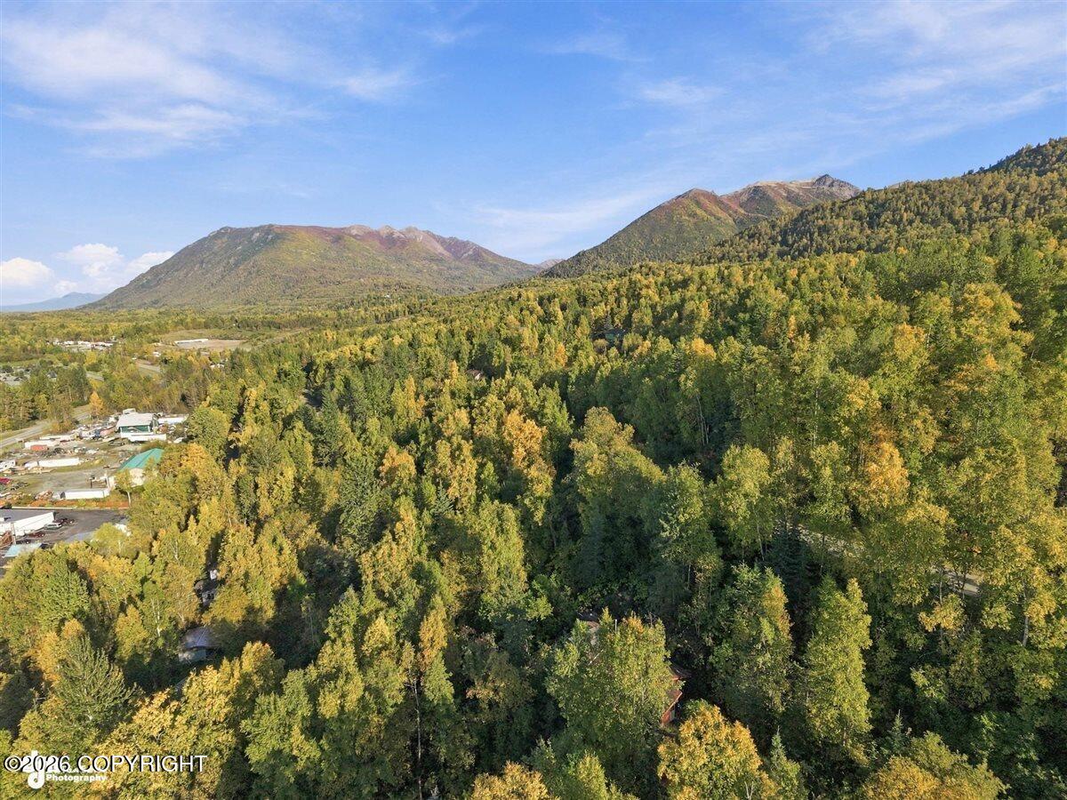 18454 Amonson Road Property Photo 43