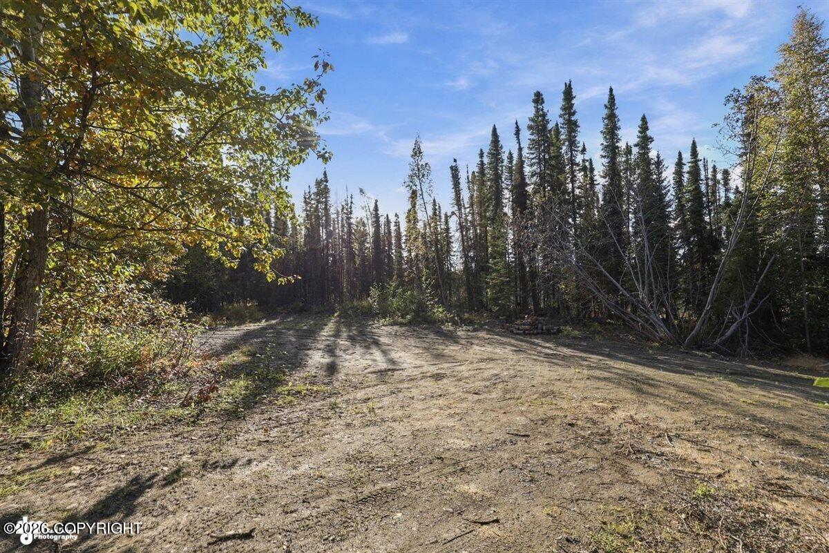 32563 Funny River Road Property Photo 5