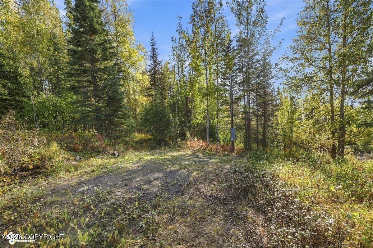 32563 Funny River Road Property Photo 19