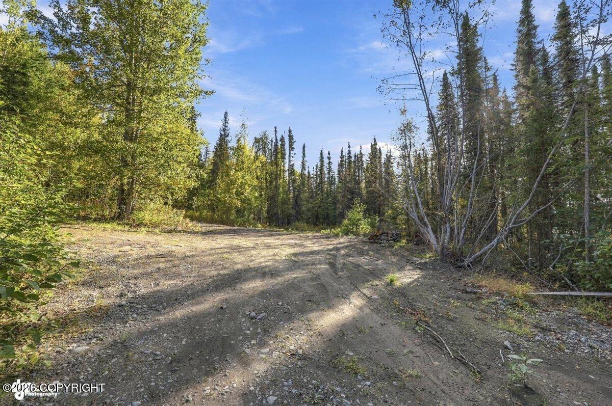 32563 Funny River Road Property Photo 20