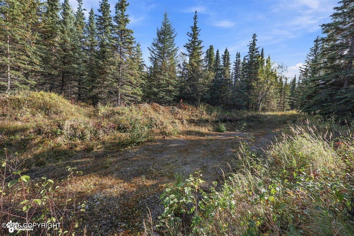 32563 Funny River Road Property Photo 22