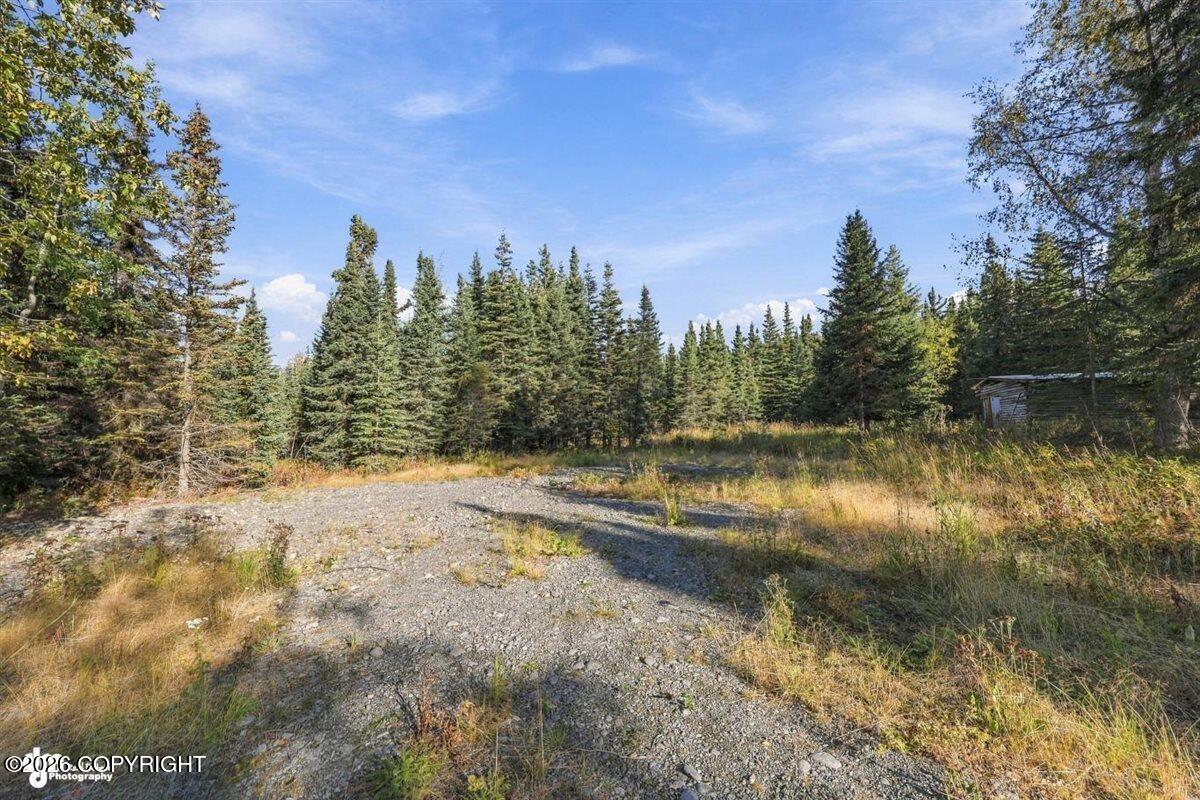 32563 Funny River Road Property Photo 23
