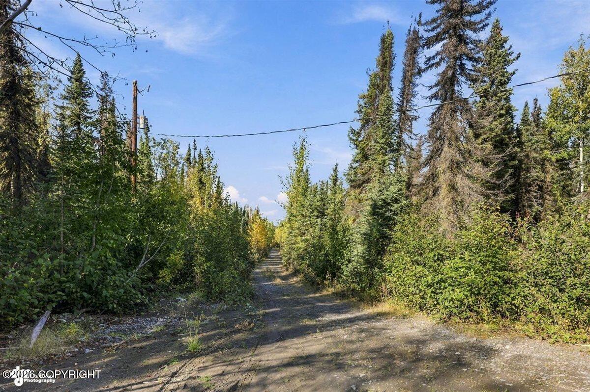 32563 Funny River Road Property Photo 25