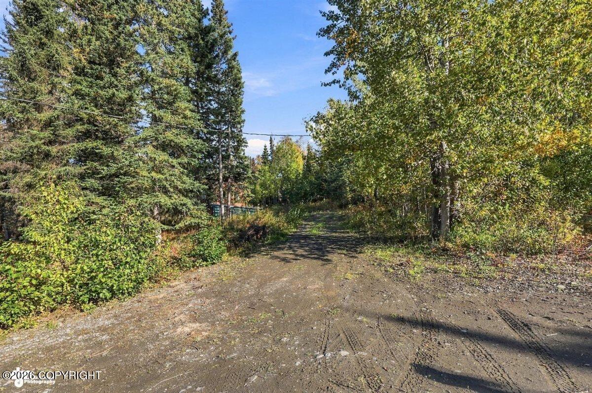 32563 Funny River Road Property Photo 26