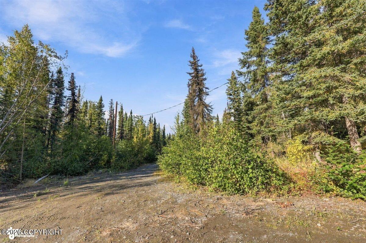 32563 Funny River Road Property Photo 27