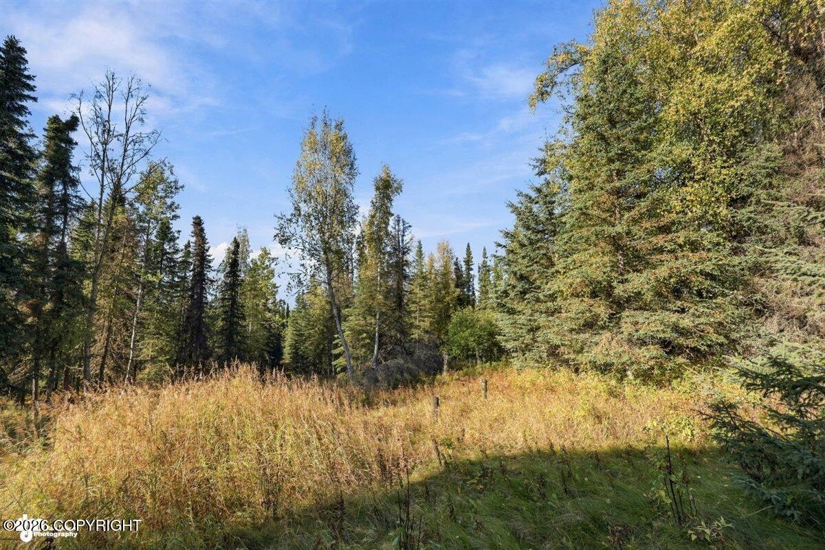 32563 Funny River Road Property Photo 30