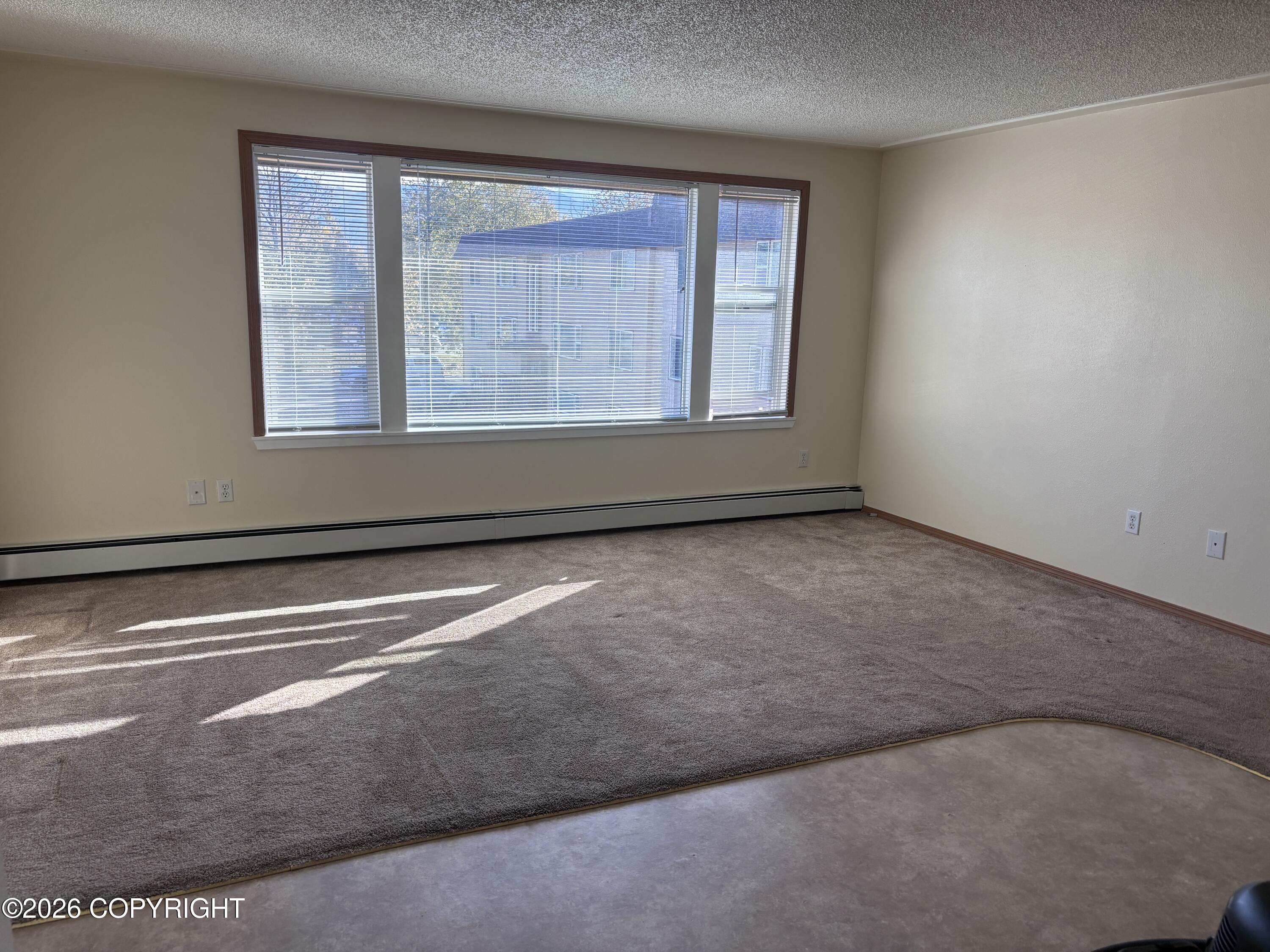 5350 Lake Otis Parkway #11 Property Photo 3