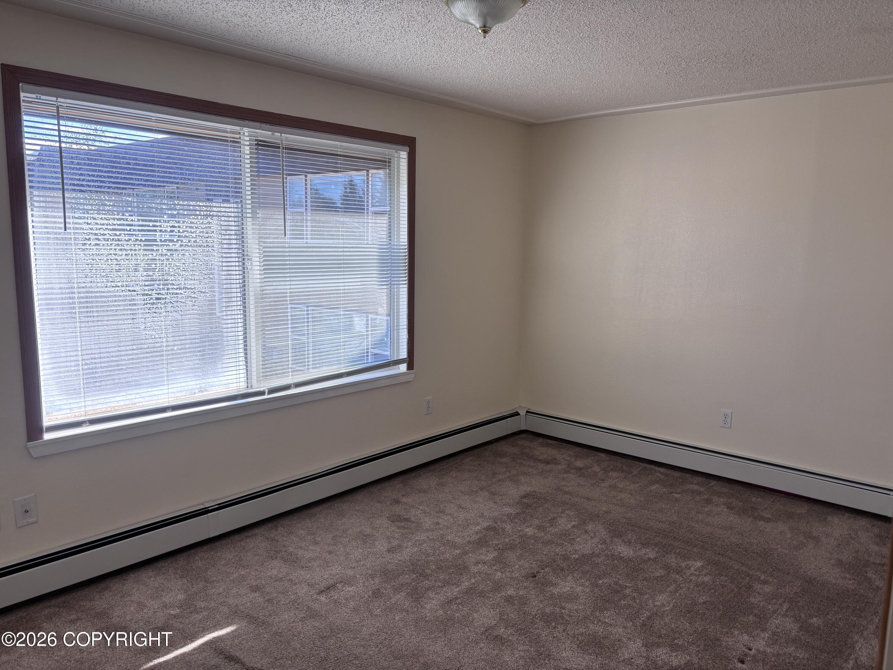 5350 Lake Otis Parkway #11 Property Photo 4